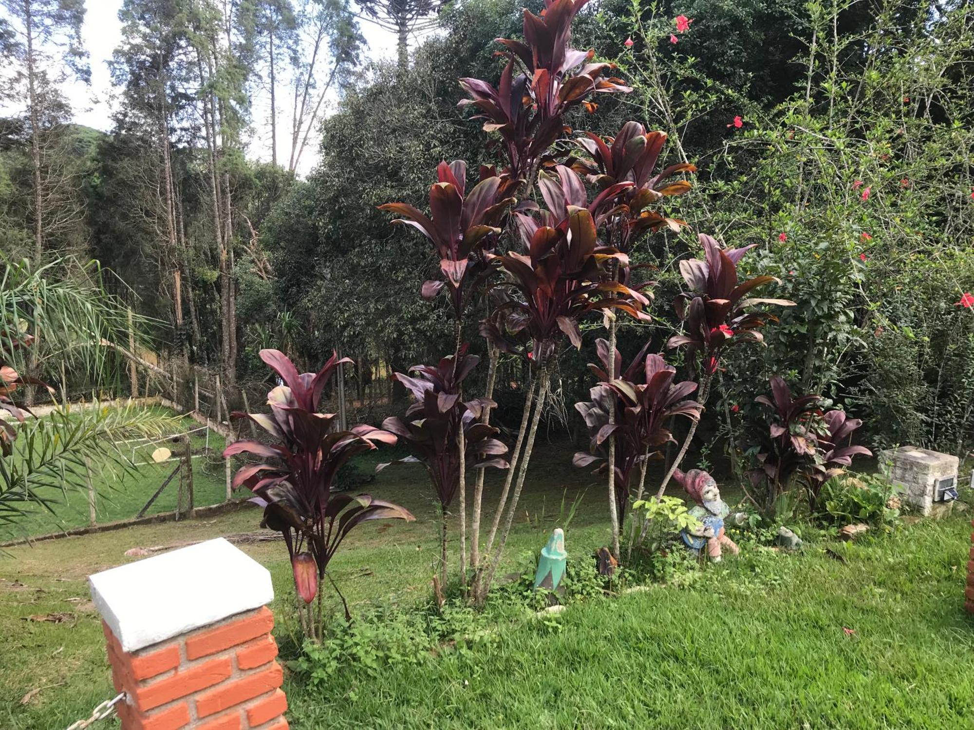 Willa Recanto Figueiredo Ibiúna Zewnętrze zdjęcie
